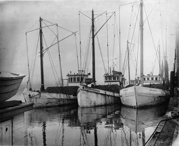 Oyster Buyboats.jpg