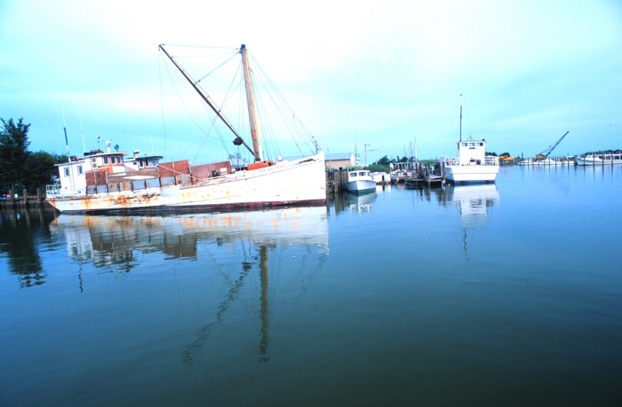 Oyster Buyboat Big Crab.jpg