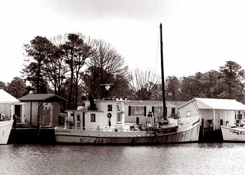 Oyster Buyboat Delvin K.jpg