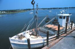 Oyster Buyboat Ben A.Thacher.jpg