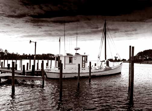 Oyster Buyboat Ellen Marie.jpg