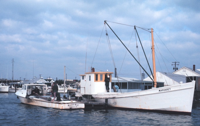 Oyster Buyboat Margatte.jpg