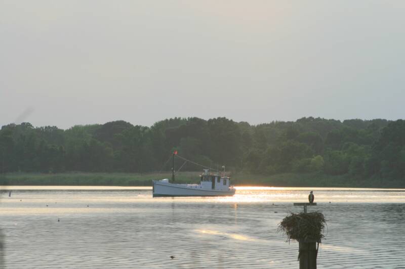 work boat Photo by Stacie Stinnette.jpg