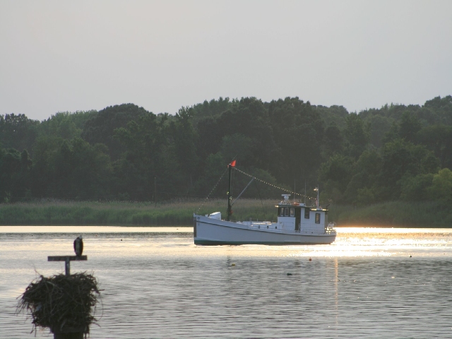 Photo buyboat by Stacie Stinnette.jpg